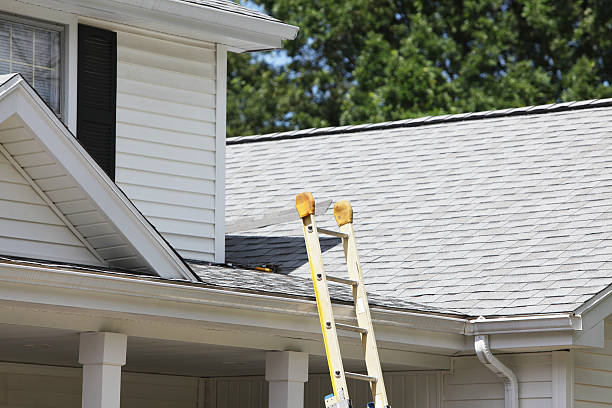 Best Construction Debris Removal  in Chepachet, RI
